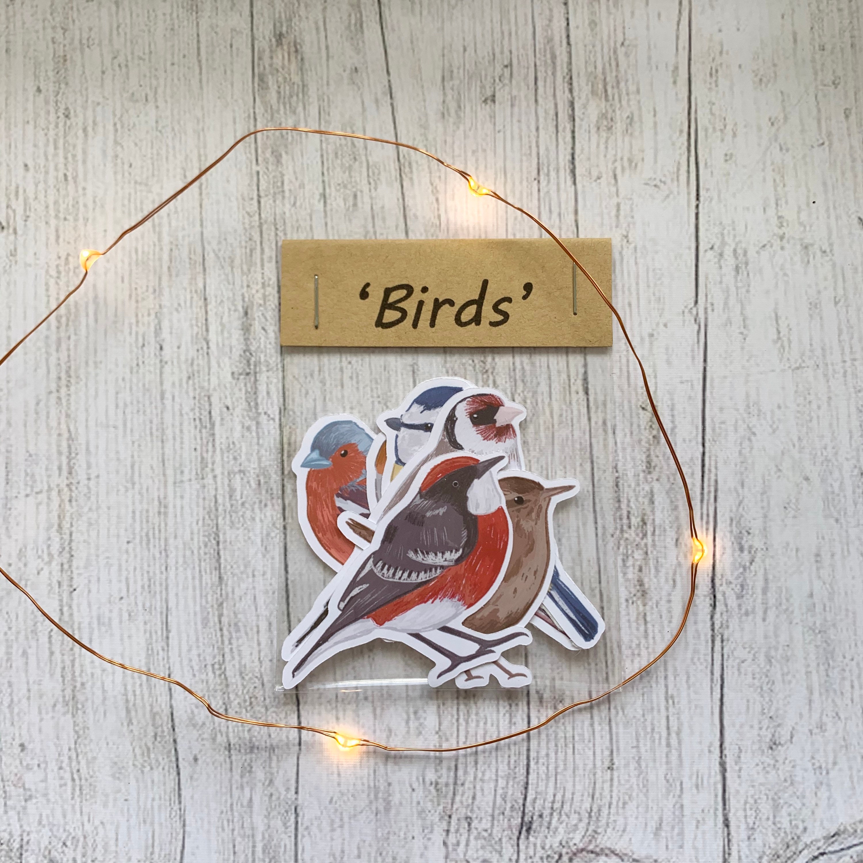 Bird Sticker Pack Sticker Set Bird Planner Stickers Etsy