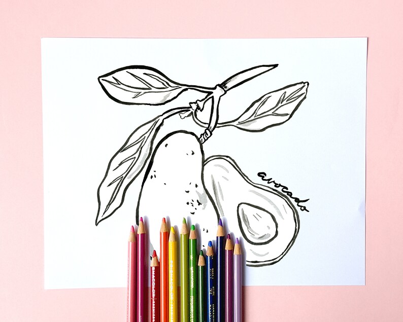 May include: Black and white avocado illustration with the word "avocado" written in cursive. The drawing is on white paper, with a collection of colorful pencils arranged at the bottom, against a pink background.