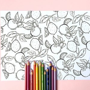 May include: A white sheet with a black and white lemon and orange pattern, with the words "lime" and "orange" written on the fruit. A set of colored pencils in various colors are arranged at the bottom of the sheet.