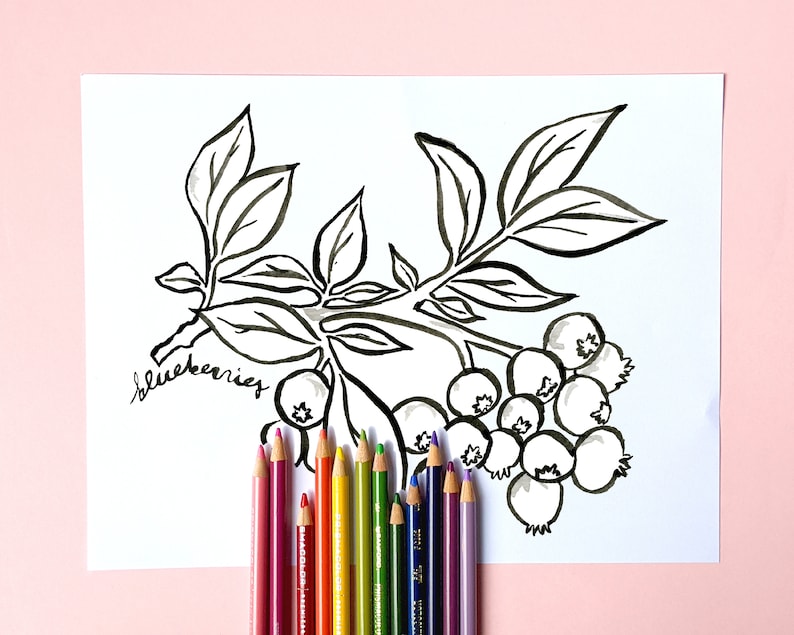 May include: A black and white illustration of blueberries on a white paper with the word "blueberries" written in cursive. A collection of colored pencils in various colors are arranged at the bottom of the paper.