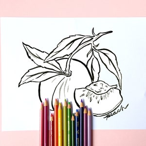 May include: Black and white ink drawing of a peach with leaves and a sliced section, with the word "peach" written in script. A collection of colored pencils in various colors are arranged at the bottom of the image.