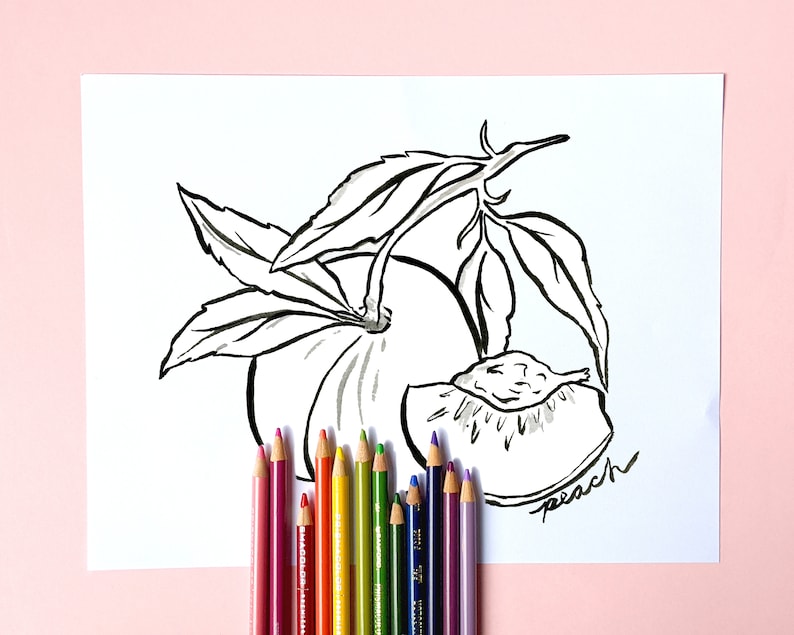 May include: Black and white ink drawing of a peach with leaves and a sliced section, with the word "peach" written in script. A collection of colored pencils in various colors are arranged at the bottom of the image.