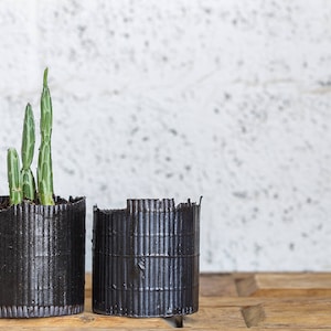 May include: Two black plastic pots with a green succulent plant in one of the pots. The pots are sitting on a wooden surface in front of a white wall.