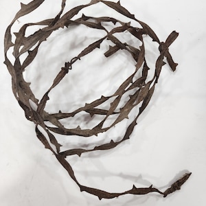 May include: A coiled, brown metal crown of thorns with sharp, pointed barbs. The crown is made of a series of interconnected, thorn-covered strips. The metal has a weathered, aged appearance, suggesting it is an antique or vintage piece.
