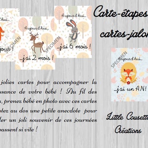 Pochette personnalisée 24 cartes-étape ou cartes-jalon thème animaux de la forêt pour garder un souvenir des étapes importantes de bébé image 4