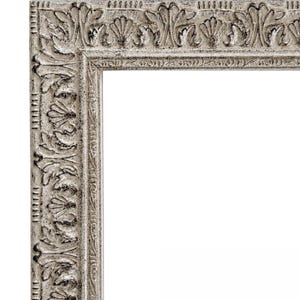 Duchess Ornate Champagne Silver Picture Frame, 2 Inch Wide Baroque Antique Style Solid Wood Frame, Vintage Wall Art Photo Frame, West Frames