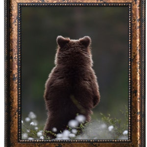 West Frames Santino Bronze Black Traditional Classic Wall Picture Frame 3.25" Wide