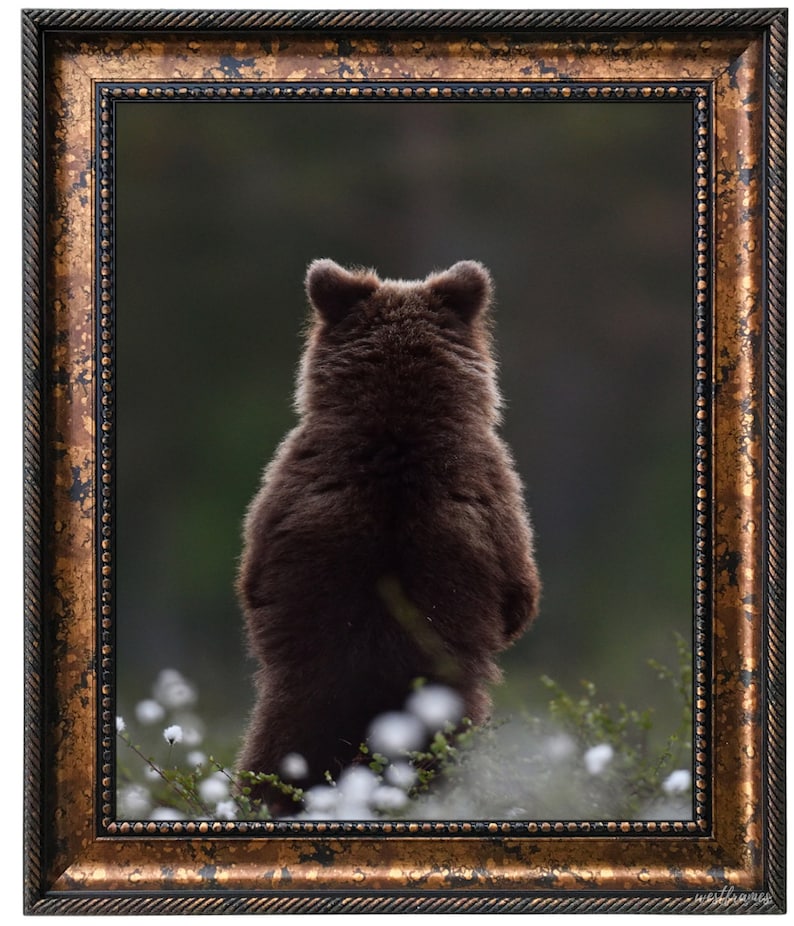 West Frames Santino Bronze Black Traditional Classic Wall Picture Frame 3.25" Wide