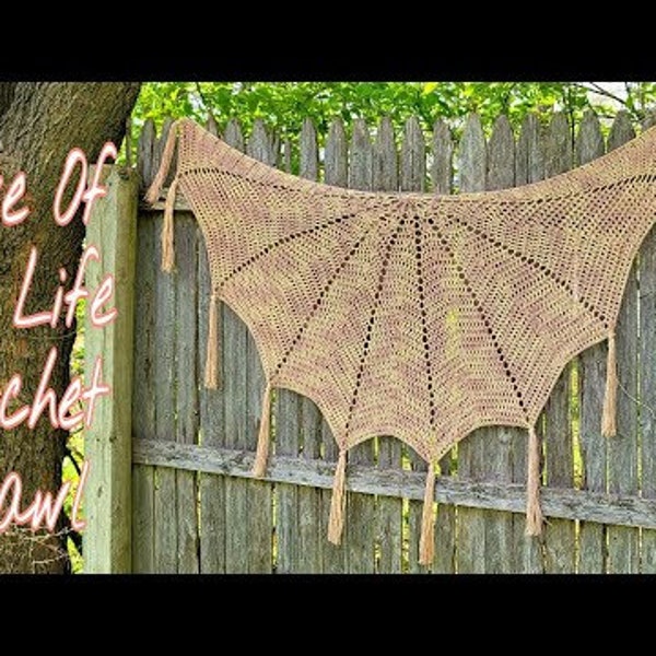 Love of my Life Shawl Bagoday Crochet Pattern DIGITAL DOWNLOAD ONLY