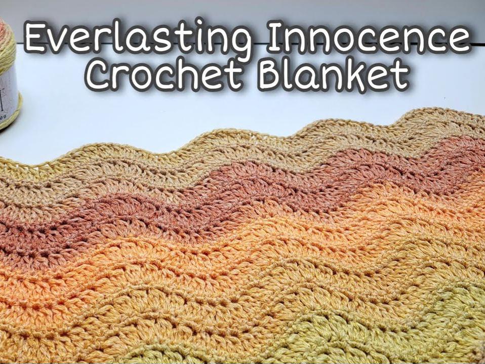 Bag-O-Day Crochet Patterns for Shawls, Blankets and Hats 8 Crochet baby Blanket