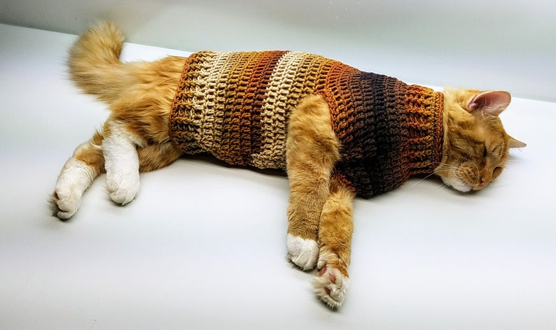 Crochet Cat Sweater Stevens Striped Sweater Crochet Pattern image 0
