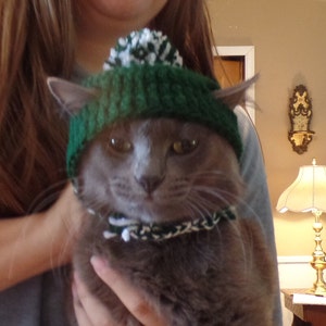 May include: A gray cat wearing a green and white knitted hat. The hat has a white pom-pom on top.