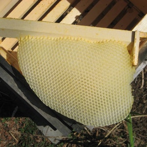 Warre Bee hive Newly constructed warre bee hive, Great organic way to raise bees. image 4