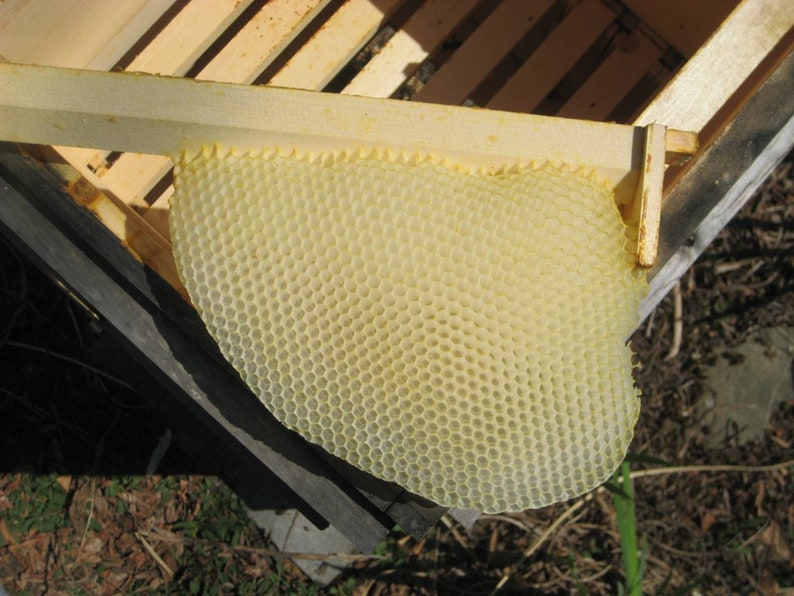 Warre Bee hive Newly constructed warre bee hive, Great organic way to raise bees. image 4