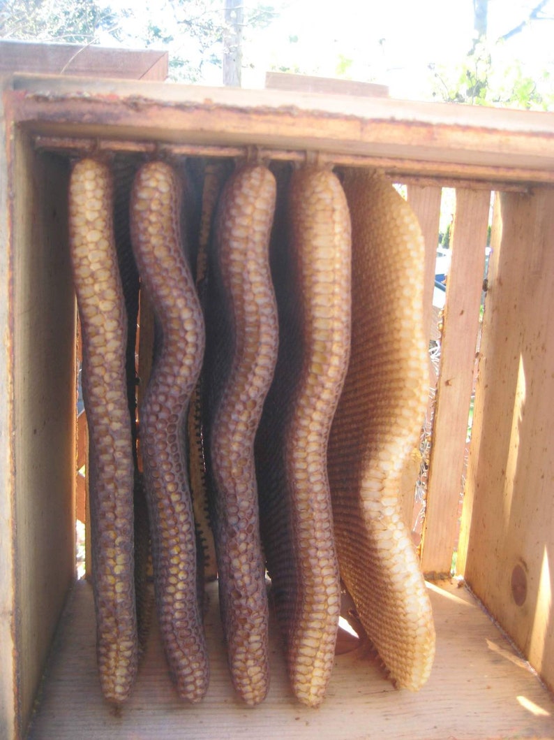 Warre Bee hive Newly constructed warre bee hive, Great organic way to raise bees. image 2