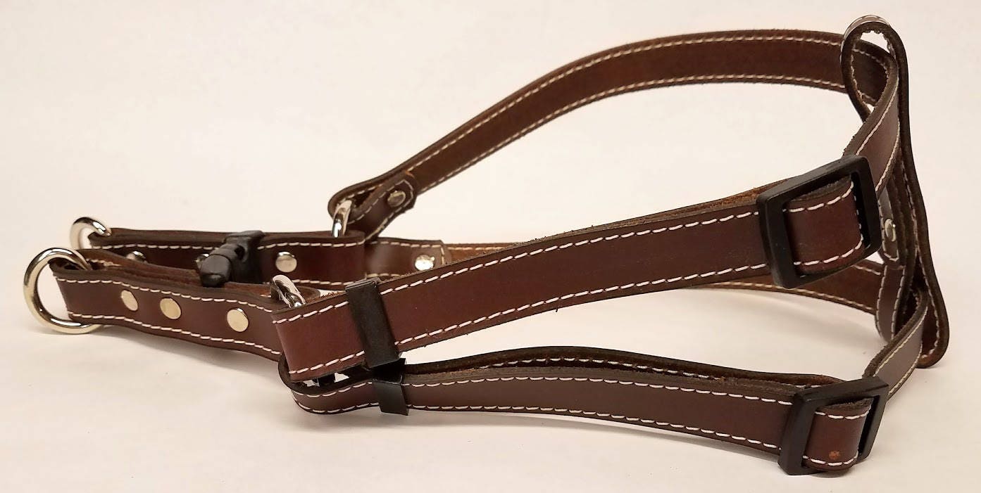 Leather Dog Harness for Small Dogs 5/8 Wide With Heavy Etsy