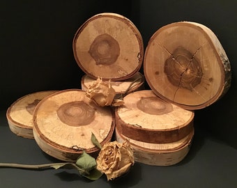 Birch Slice - Tree Slice - Wood Slice - Rustic Slice - Cake Stand - Candle Stand