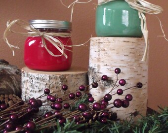 16oz Soy Candle - Soy Candle - Scented Candle - Eco Friendly -Holiday Scented - Free Offer