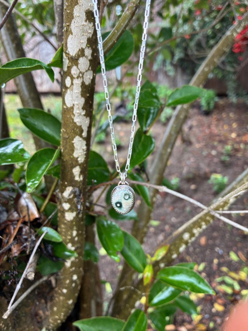 May include: A silver necklace with a small, round pendant featuring a black and white design. The pendant is set in a silver frame and hangs from a delicate chain. The necklace is displayed against a backdrop of green leaves and tree branches.