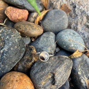 May include: A silver ring with a circular, patterned stone. The ring is set amongst grey and brown rocks. The stone has a mix of light and dark colours, and the band is thin. The ring is a piece of jewellery.