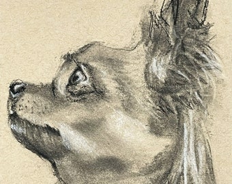 Custom charcoal pet portrait from photo on toned paper