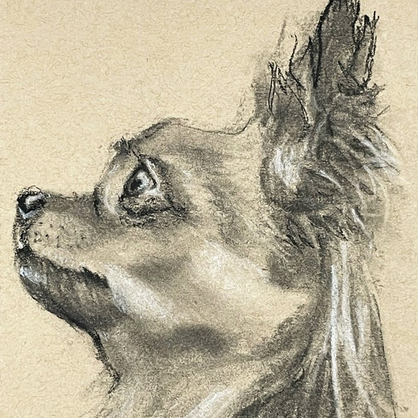 Custom charcoal pet portrait from photo on toned paper