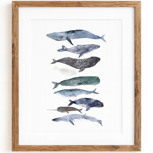 Ilustración de póster de ballena | Descuento por cierre de venta final