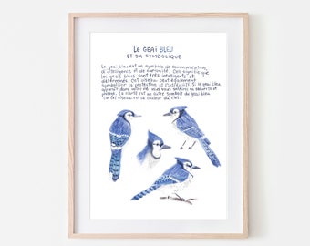 blue jay illustration | bird illustration | quote illustration | quote art print | children room art print | ornithology