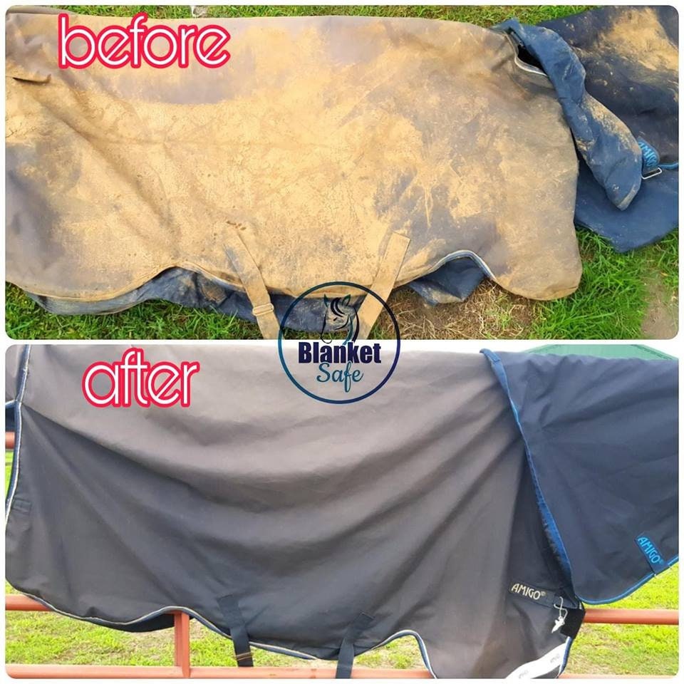 32oz Blanket Safe Horse Blanket Wash and Deodorizer Etsy