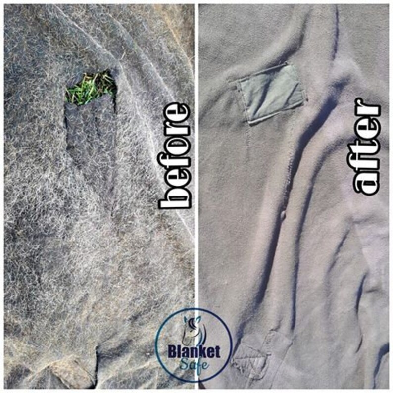 32oz Blanket Safe Horse Blanket Wash and Deodorizer Etsy