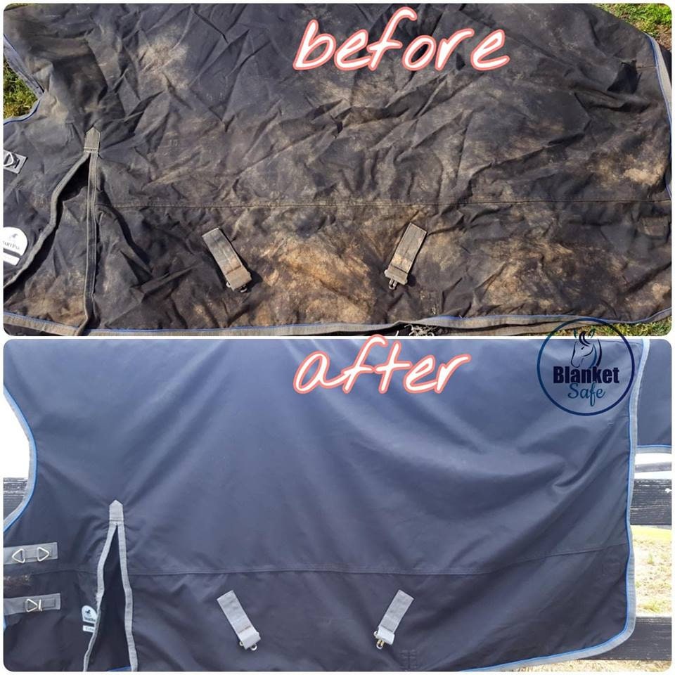 32oz Blanket Safe Horse Blanket Wash and Deodorizer Etsy