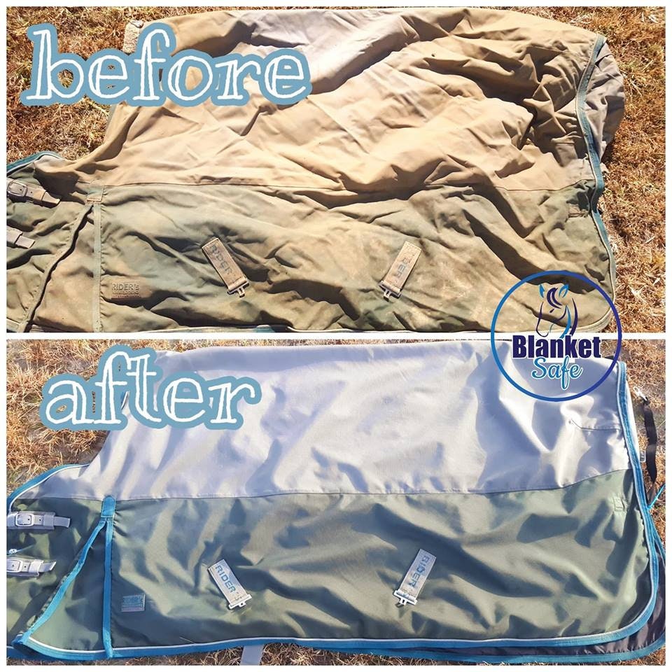 32oz Blanket Safe Horse Blanket Wash and Deodorizer Etsy