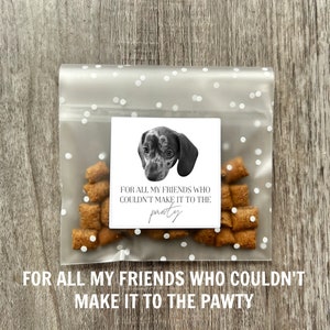 Personalized Pet Treat Wedding Favors (Packs of 20) | Custom Pet Photo | Treat Bags for Wedding | Pawty Favors