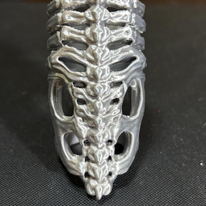 May include: A silver-colored ring with a detailed skeletal rib cage design. The ring features a three-dimensional, textured appearance, with open spaces mimicking the spaces between ribs. The ring is likely made of metal and is designed to be worn on a finger.