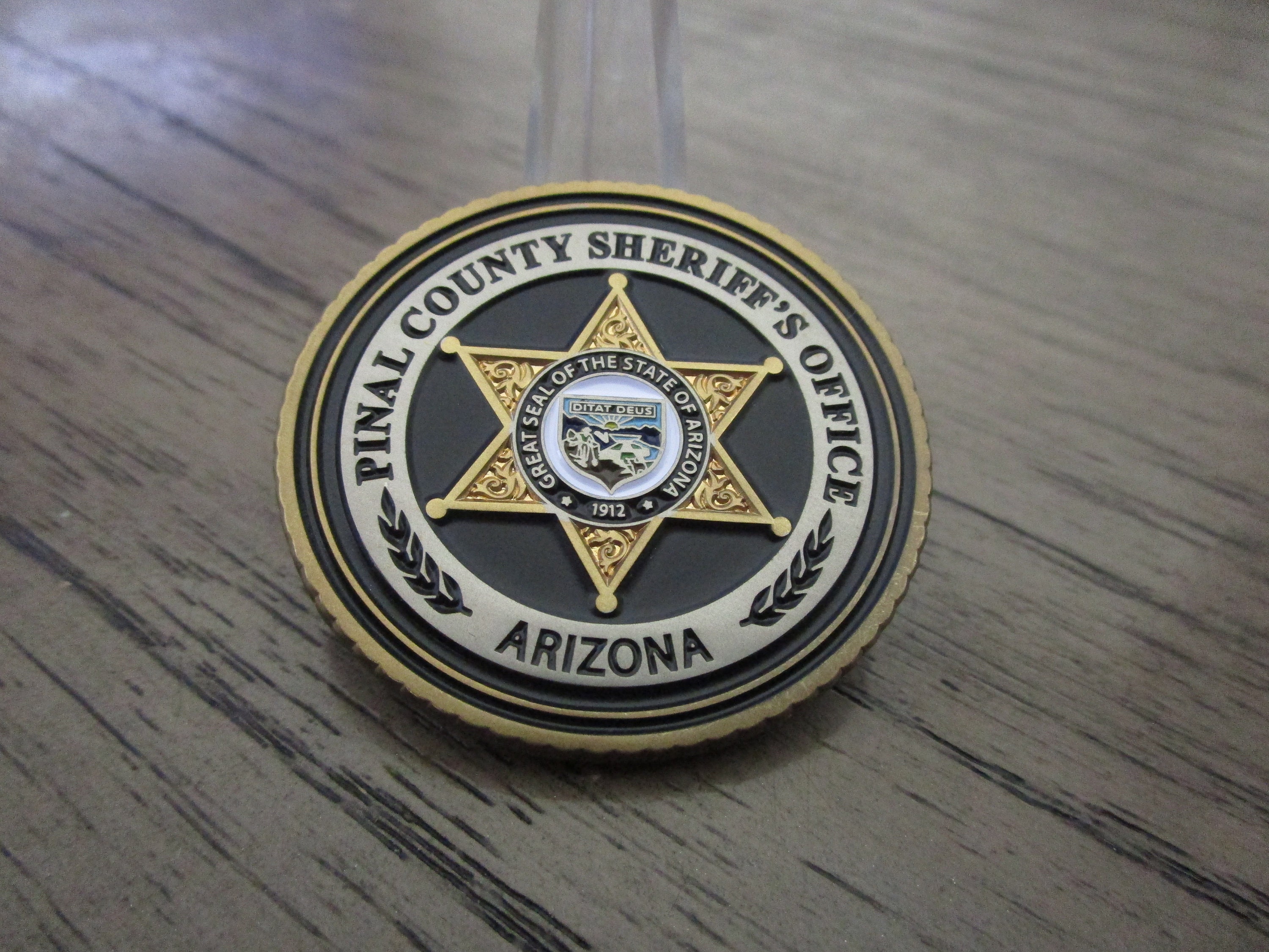Pinal County Treasurer - ur1pp04