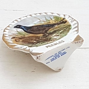 May include: A white ceramic dish shaped like a seashell with a gold rim. The dish features a painted image of a brown and black bird with a blue head. The text "PEEBLES" is printed on the bottom of the dish.