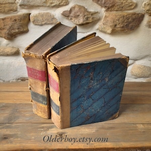 1800s Vintage Law Journal Reports Collectible Books 1846 and 1847 - Rare Find for Legal Enthusiasts - gift for Lawyer sz/2370