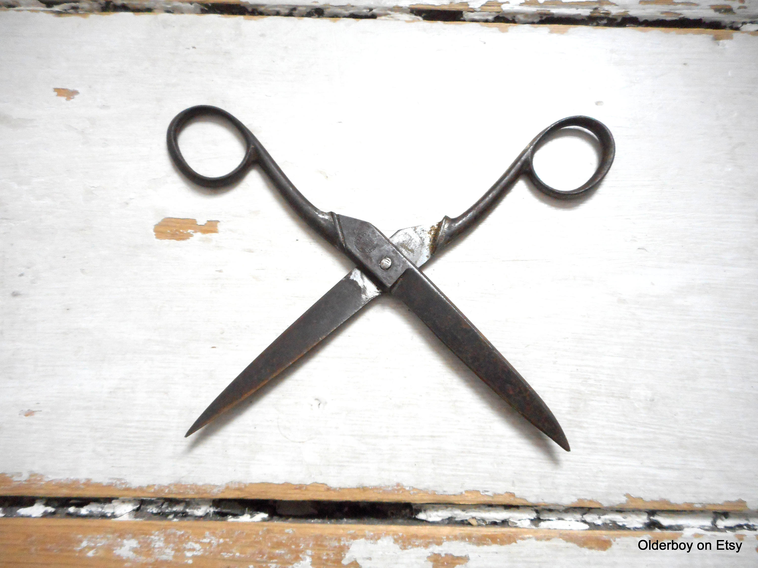 scissors in english