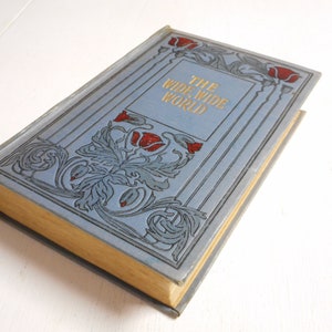 Rare Find: 1910 Edition of The Wide Wide World by Susan Warner sz/2228