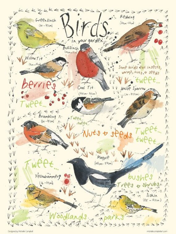 Garden Bird Chart