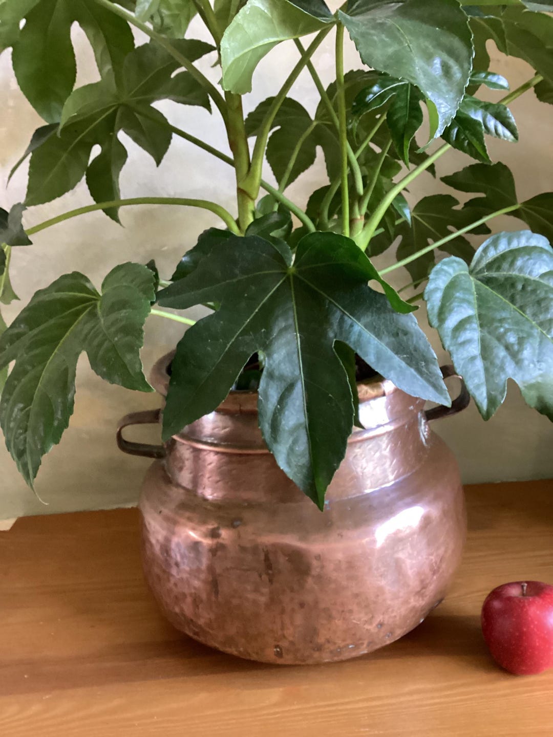 Antique Copper Planter. Large Very Old Copper Planter. Copper Plant Pot