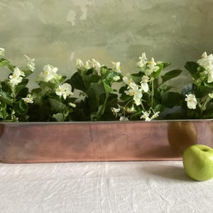 Antique French copper fish kettle . Copper cache pot. Copper planter, tin lined with brass handles, 67 cms long.