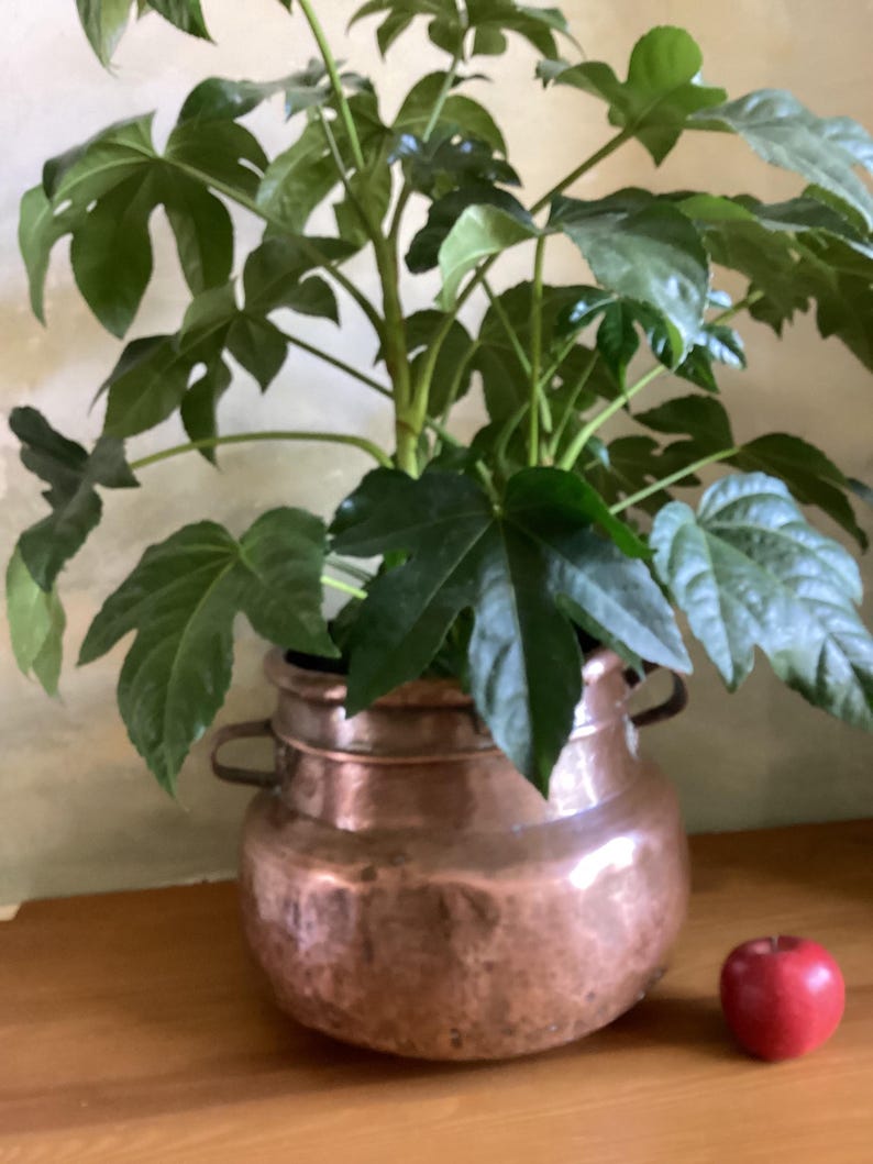 Antique Copper Planter. Large Very Old Copper Planter. Copper Plant Pot