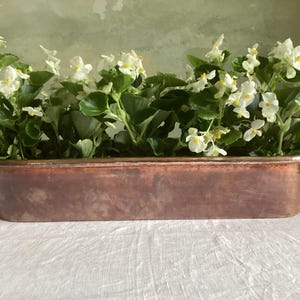 Antique French copper fish kettle . Copper cache pot. Copper planter with brass handles. 51 cms. ( 20 ins.) long.