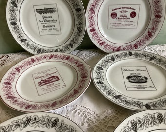 6 French plates. Set of 6 Châteaux de France plates. Wine illustrations. Limoges porcelaine plates.