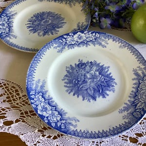 2 antique dinner plates from St Amand in the Jardiniere design . Pair of blue and white transferware plates. Vintage French faience plates.