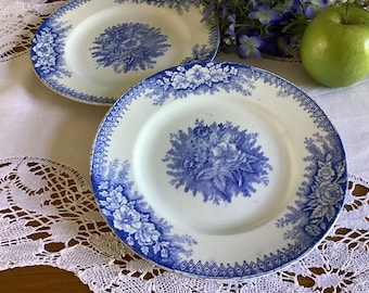 2 antique dinner plates from St Amand in the Jardiniere design . Pair of blue and white transferware plates. Vintage French faience plates.