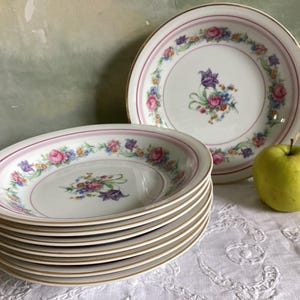 Set of 8 soup/ pasta/salad plates. Vintage French plates in Limoges porcelain. Vintage soup bowls. Colorful floral design Limoges porcelain.
