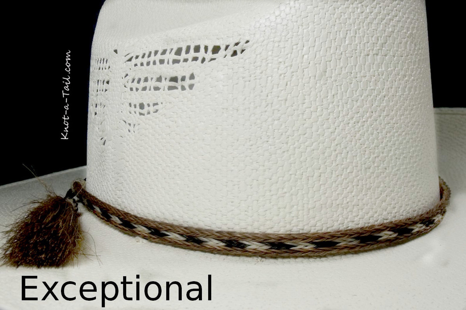 Horsehair Hat Band