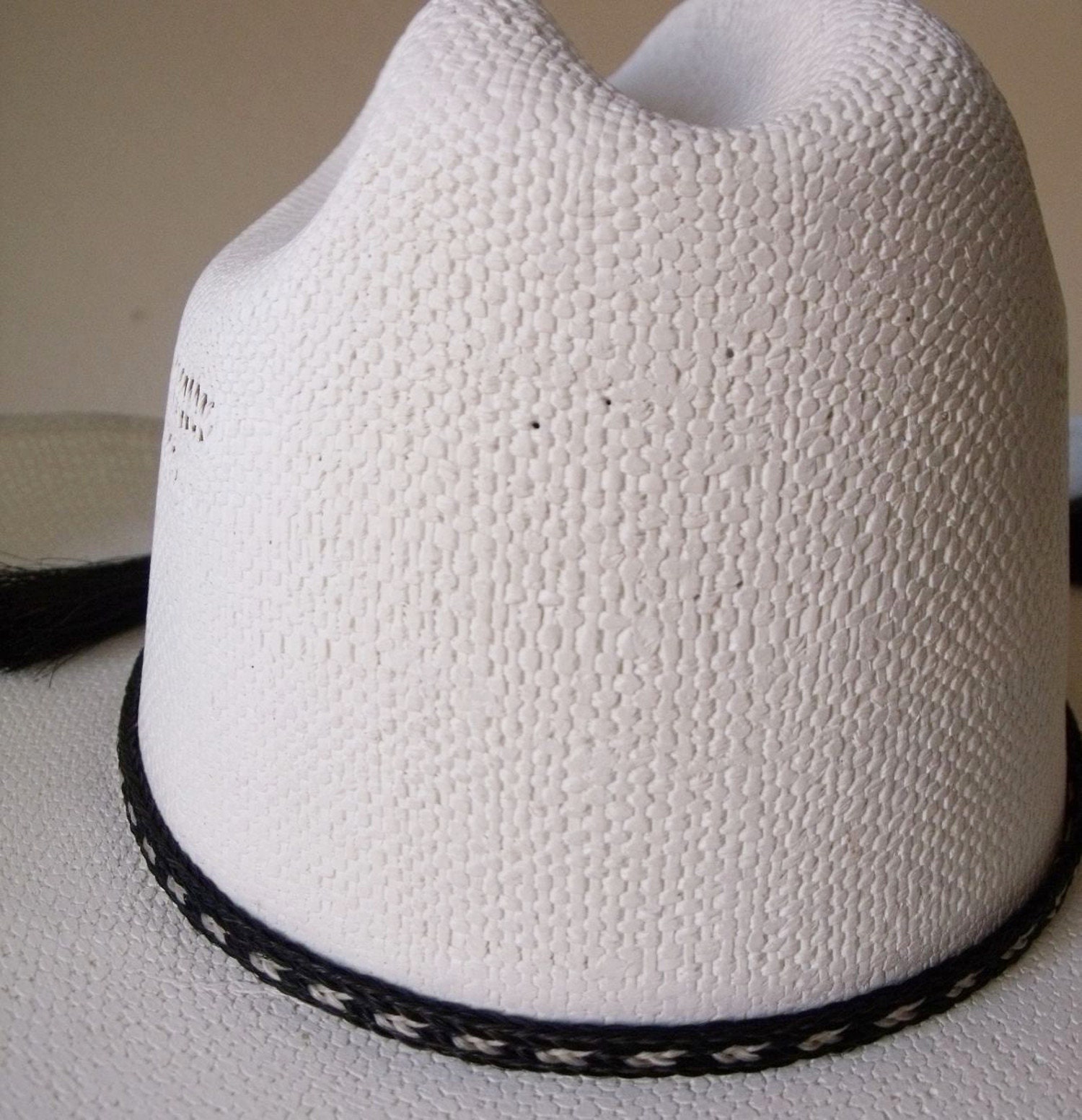 Chapeau 3/8 En Crin De Cheval Tressé - Double Côté Gland - Noir Et Blanc - Austin Accent